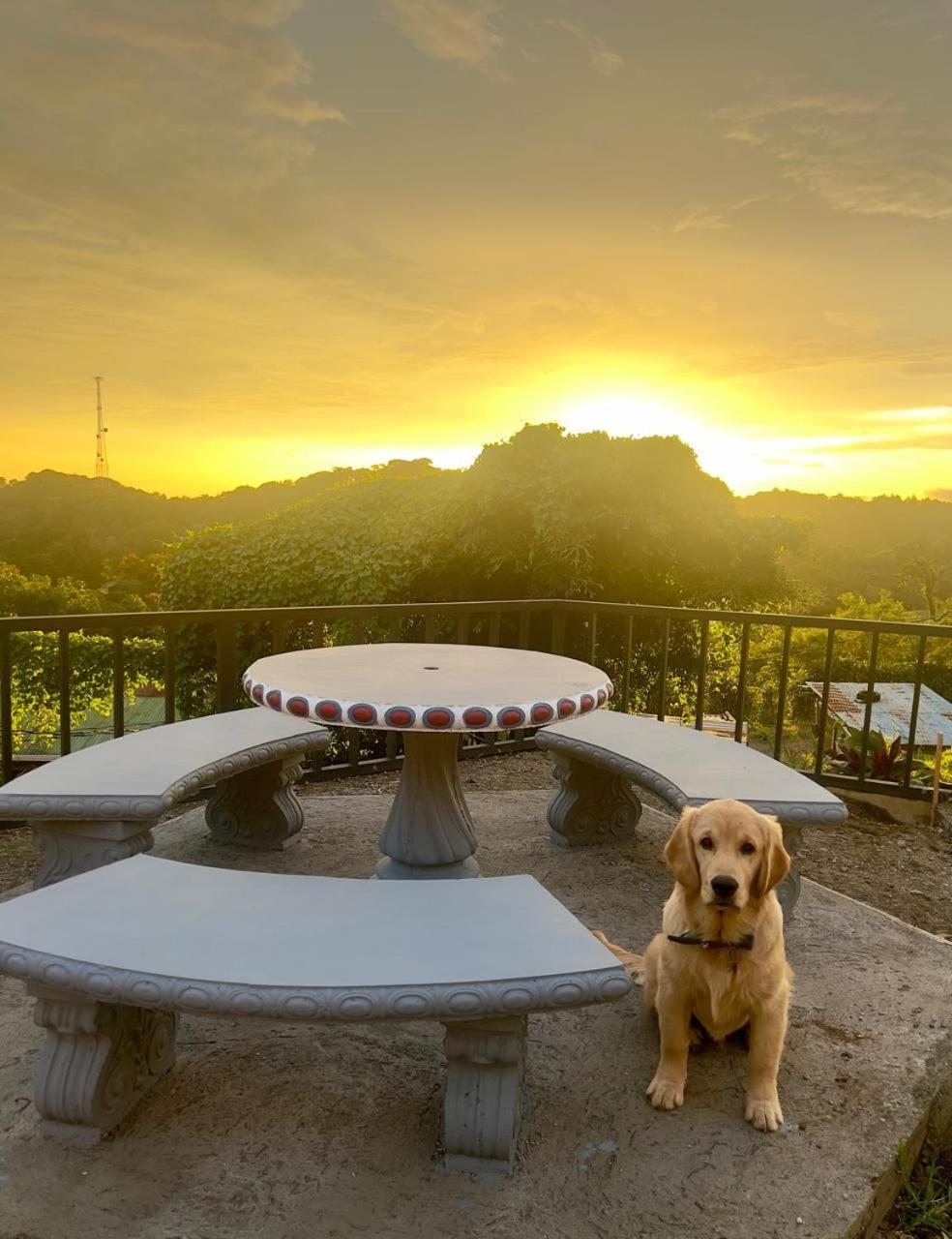Casa Tipica La Cruz Villa Monteverde Dış mekan fotoğraf